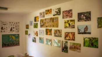 Casa Colibrí, el nuevo espacio en el Parque Ecológico de CDMX: precios y recorridos