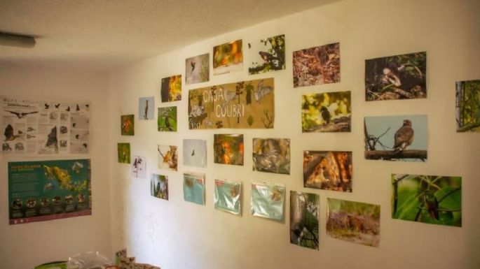 Casa Colibrí, el nuevo espacio en el Parque Ecológico de CDMX: precios y recorridos