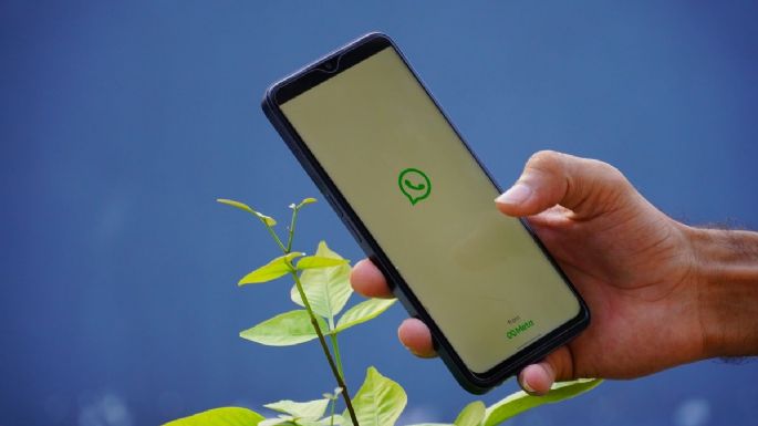 ¡Organiza tu WhatsApp! Pasos para separar tus stickers por carpetas