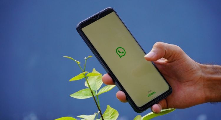 ¡Organiza tu WhatsApp! Pasos para separar tus stickers por carpetas