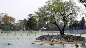 Ruta de parques: lugares en la CDMX para llevar a tu perro