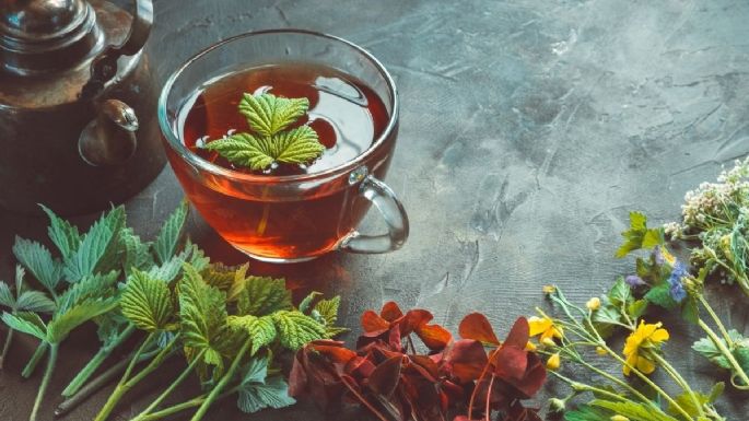 10 plantas que puedes tener en maceta para hacer tés naturales