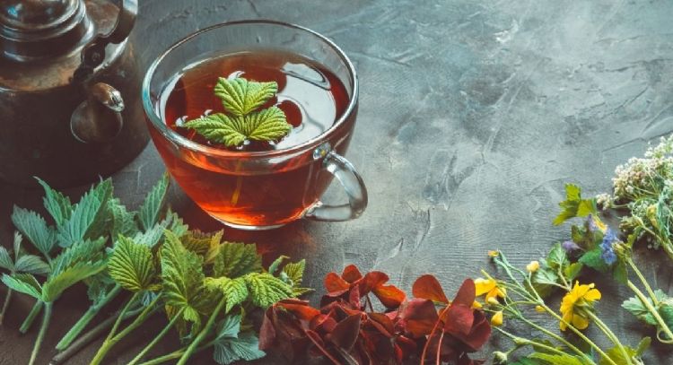 10 plantas que puedes tener en maceta para hacer tés naturales