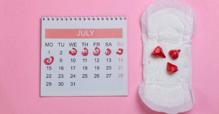 ¿Qué pasa en la fase lútea de la menstruación?